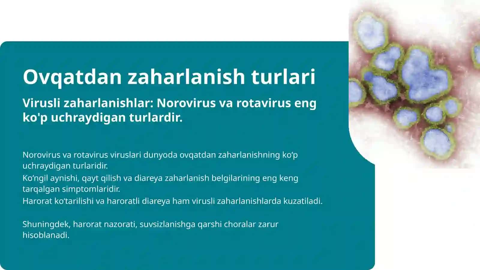 Oziq-ovqat mikrobiologiyasi nazariyasi 3