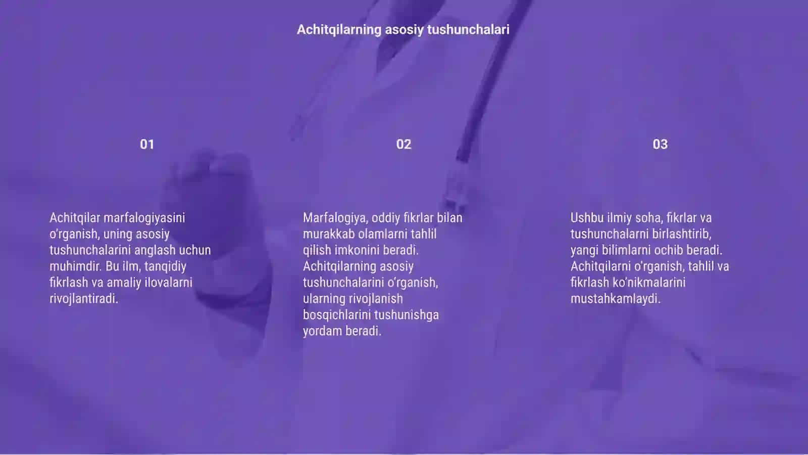 Achitqilarning marfalogiyasini oʻrganish 3