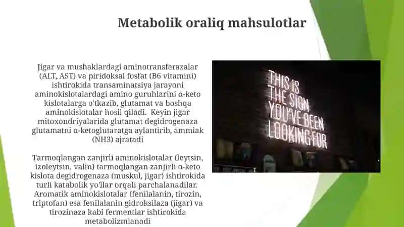 Aminokislotalar almashinuvining umumiy yóli 3