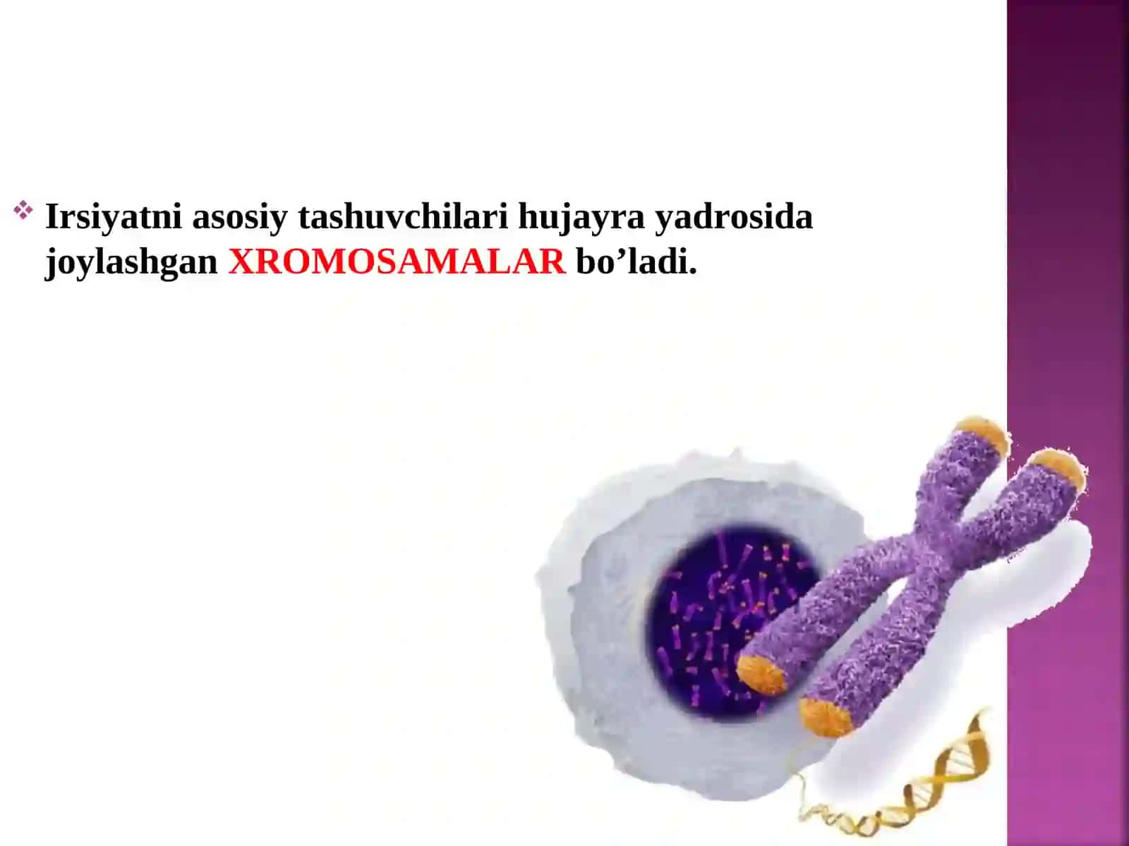 GENOM KASALIKLARI 3