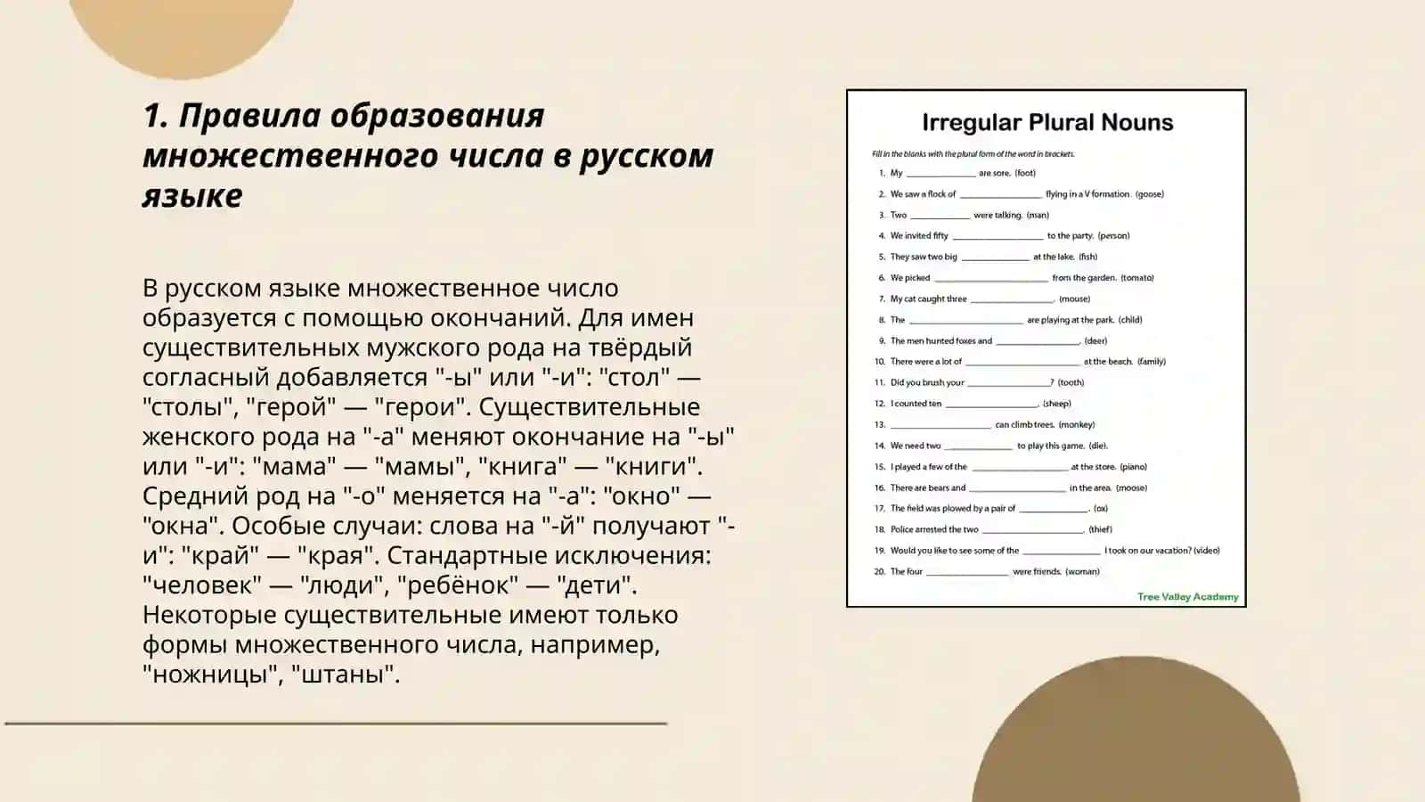 Правила образования множественного числа в русском языке 3
