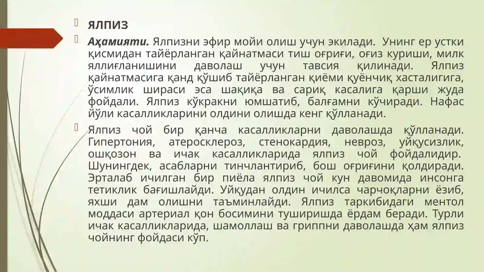 Ялпиз ва райхоннинг аҳамияти, биологияси 3