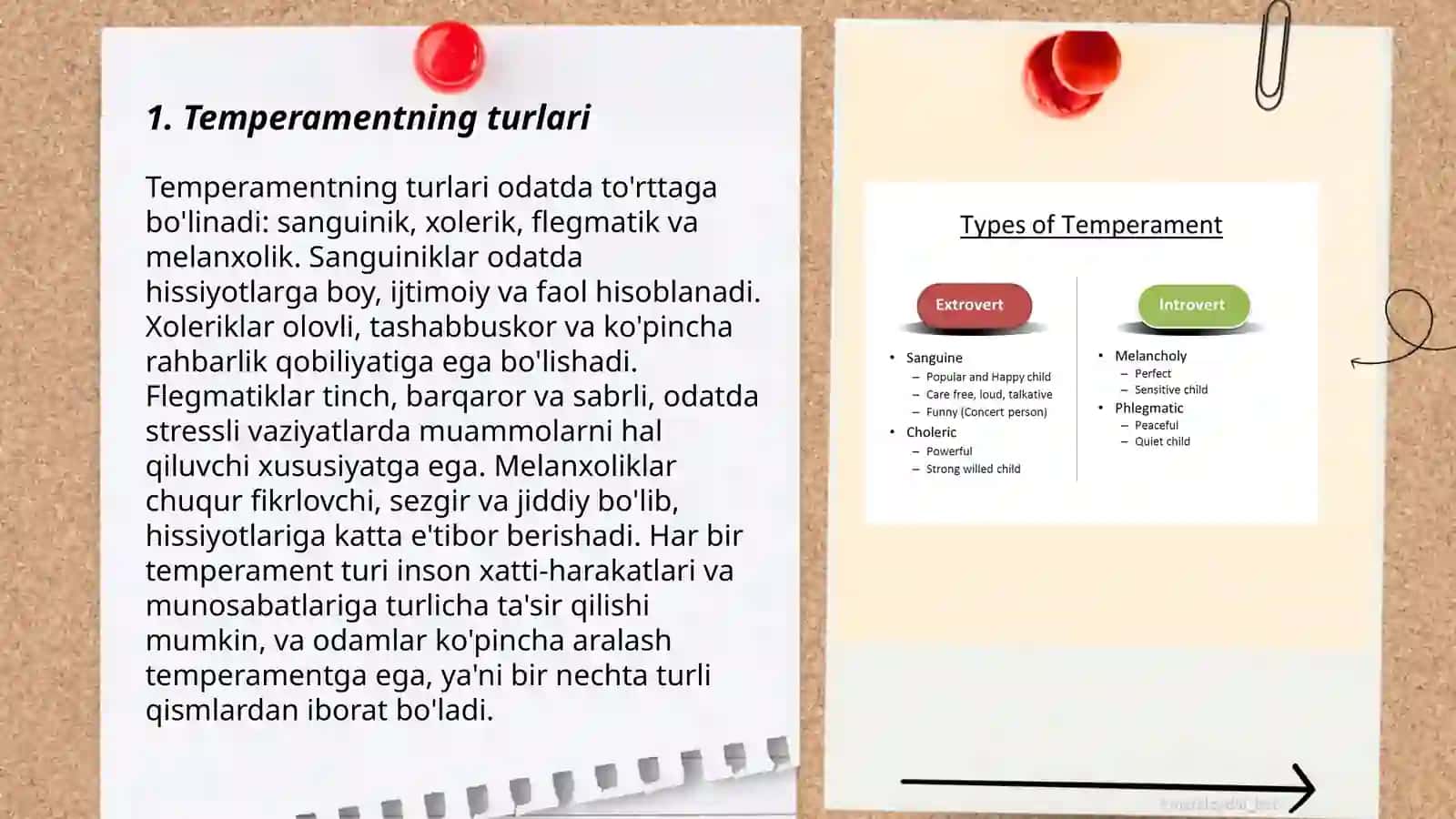 Temperamentning turlari 3