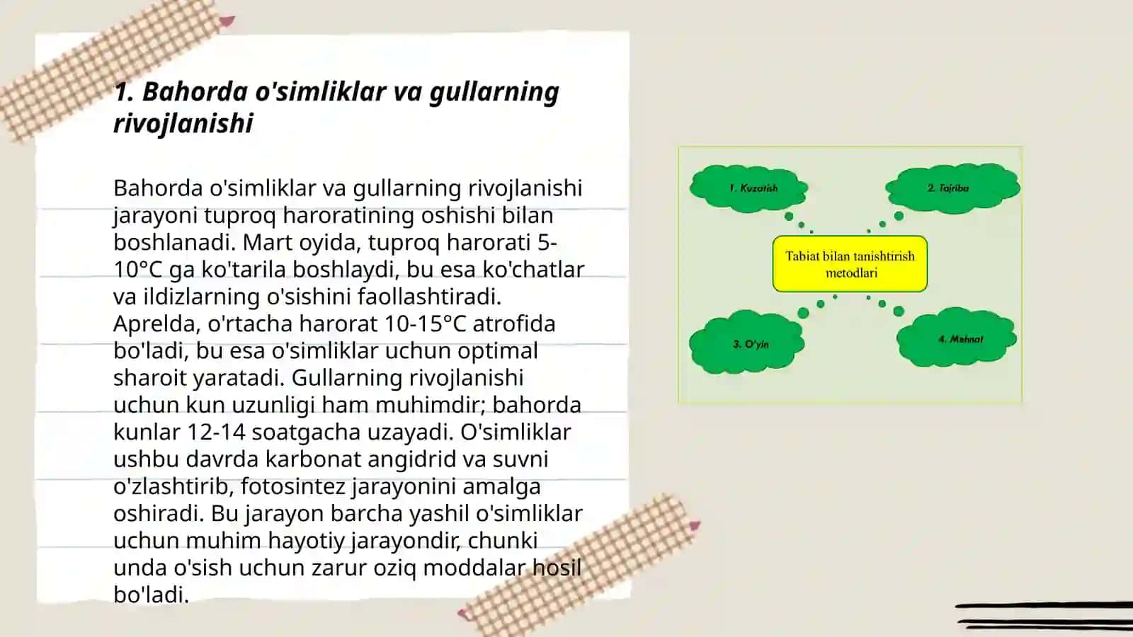 Turli fasllarda bolalarni tabiatni kuzatishlarga umumiy tavsifnoma 3