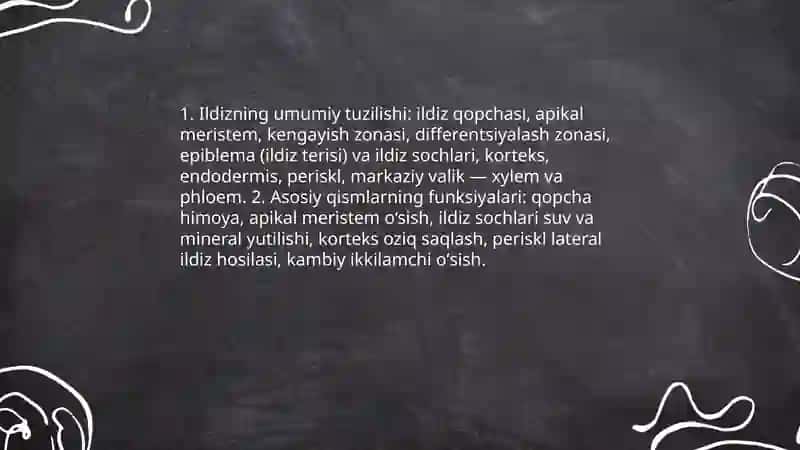 Ildiz tuzilishi, turlarini ildiz zoʻnalariga boʻlib jadval tuzish 3