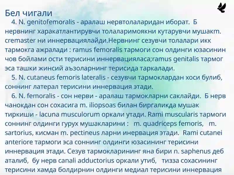 Бел чигали 3