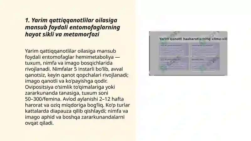 Yarim qattiqqanotlilar oilasiga mansub foydali entomofaglar rivojlanishi va koʻpayishi 3