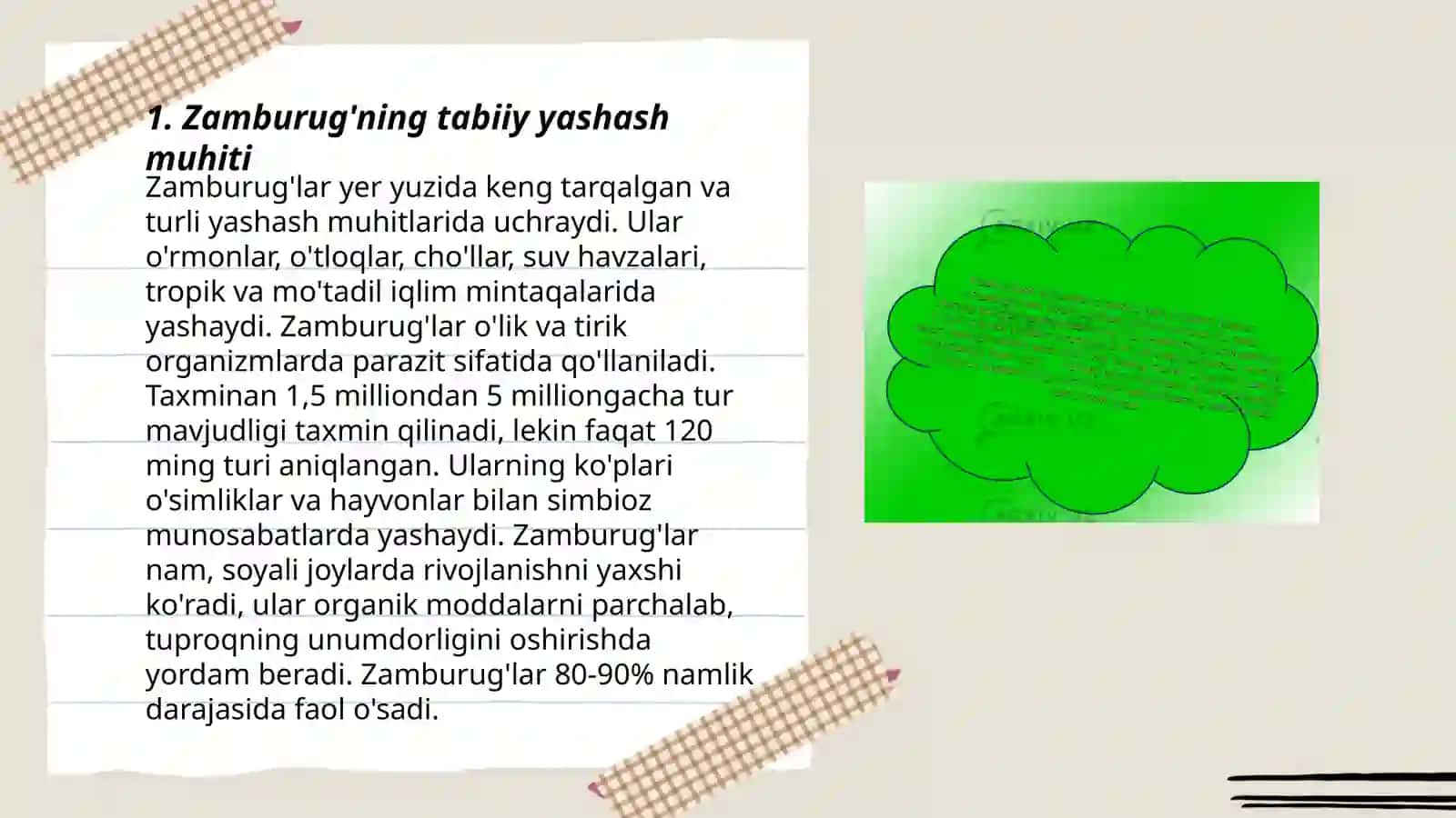 Zamburug' va uning xususiyatlari 3