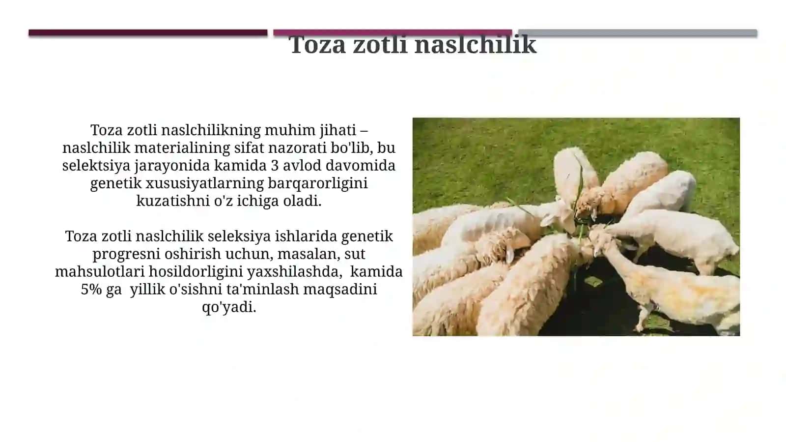 Chorvachilikda duragaylash tiplari. Nav, Navlarning xilma-xilligi. Seleksion materiallarni 3