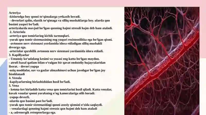Arterial qon bosimi va periferik puls tavsifi. Mikrosirkulyator havzada 
qon aylanishi. Venalarda qo 3
