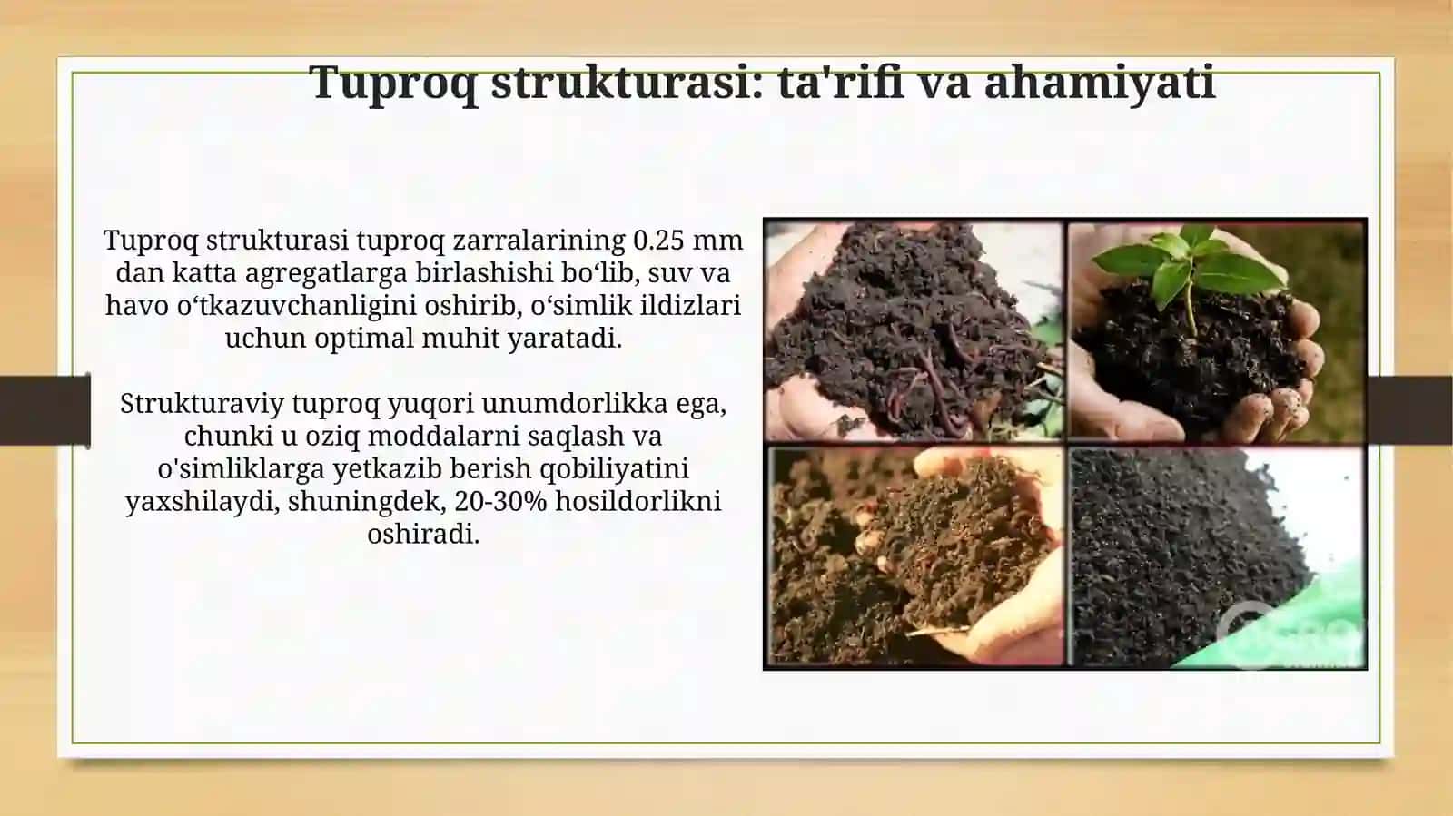 Tuproq strukturasi va uni tiklanish yoʻllari 3