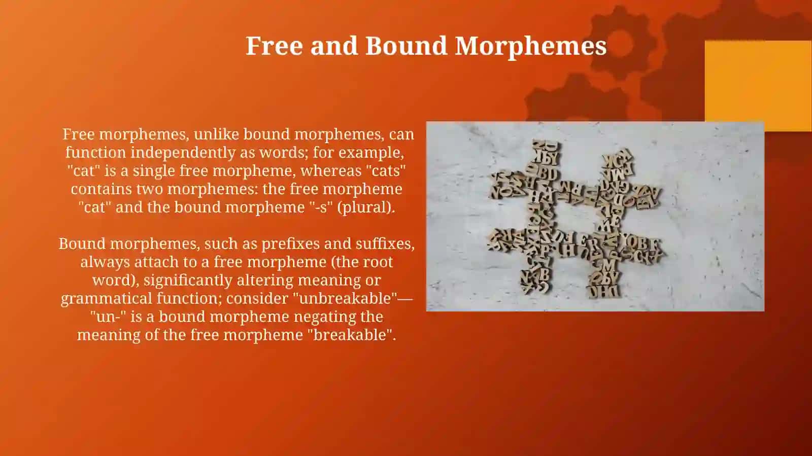 Morphology structure of the English words 3
