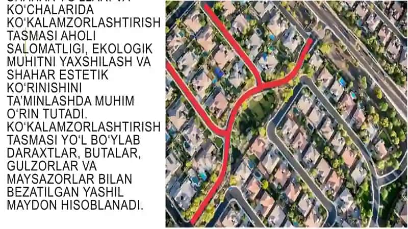 Shahar yo‘llari va ko‘chalarida ko‘kalamzorlashtirish tasmasi 3