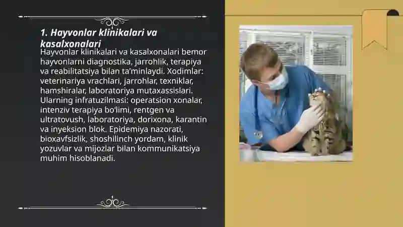 Veterinariya Meditsina Vrachi Ishjoyi 3