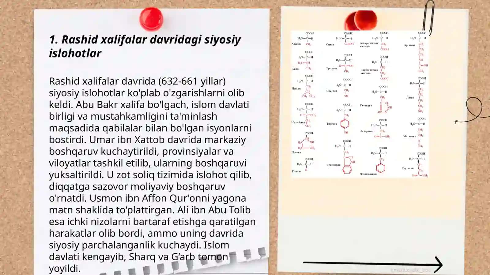 Rashid xalifalar hukumdorlik davridagi islohatlarning mohiyati 3