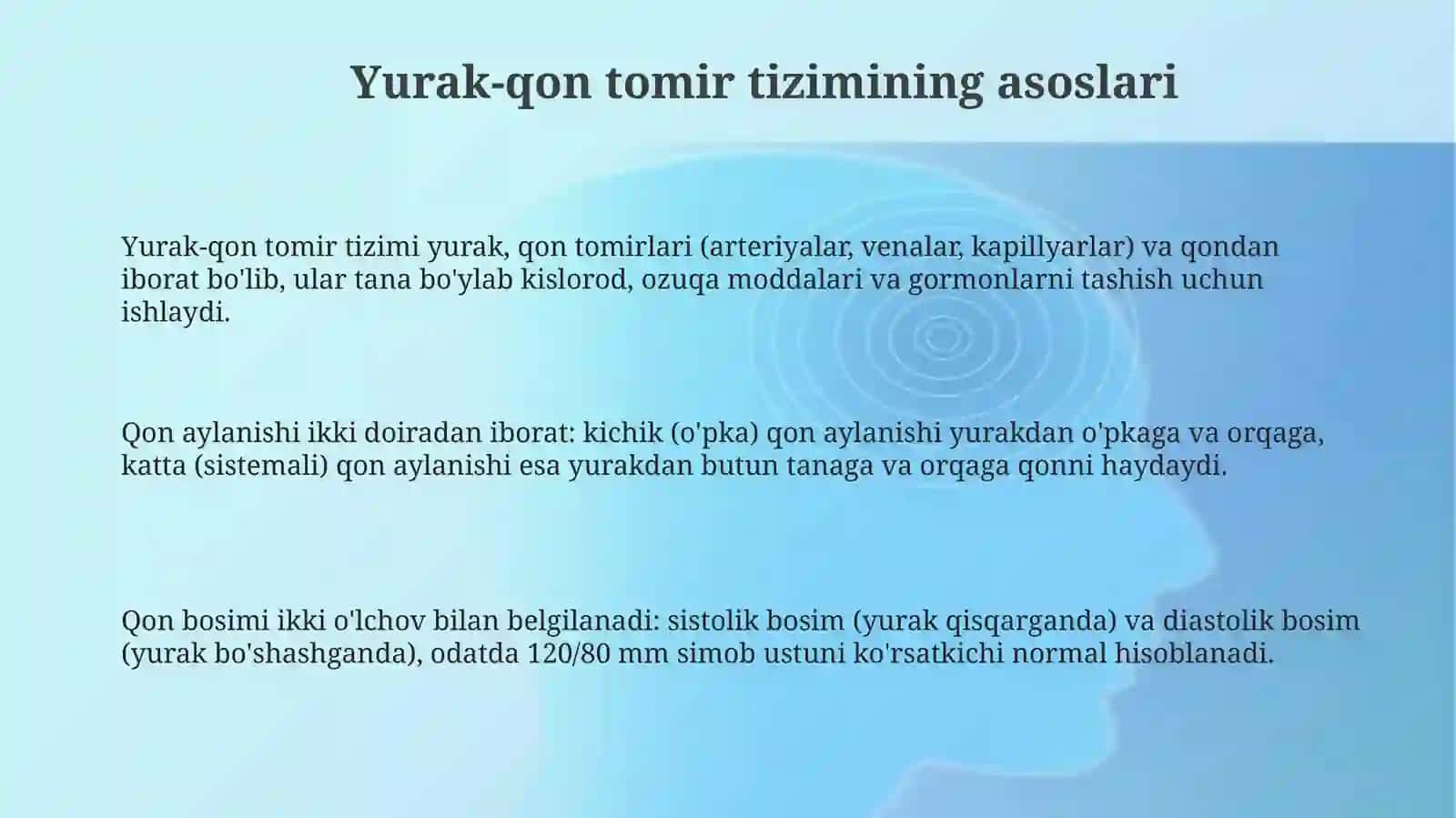 Yurak-qon tomir tizimi va modellari 3