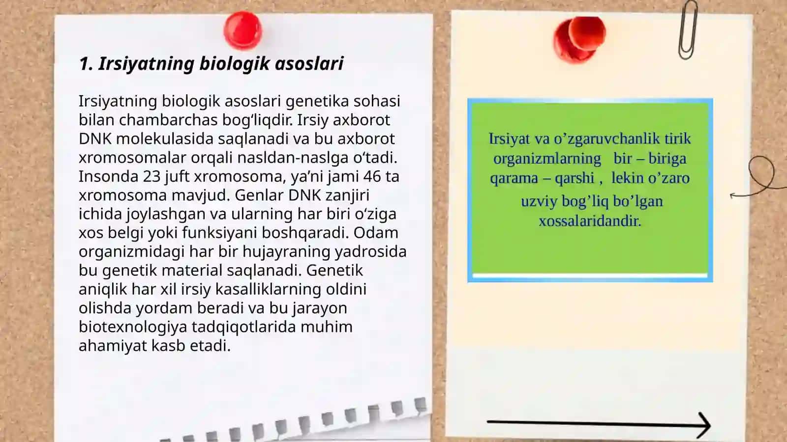 Irsiyat va irsiy kasalliklar. Nerv tizimining ahamiyati va gigiyenasi 3