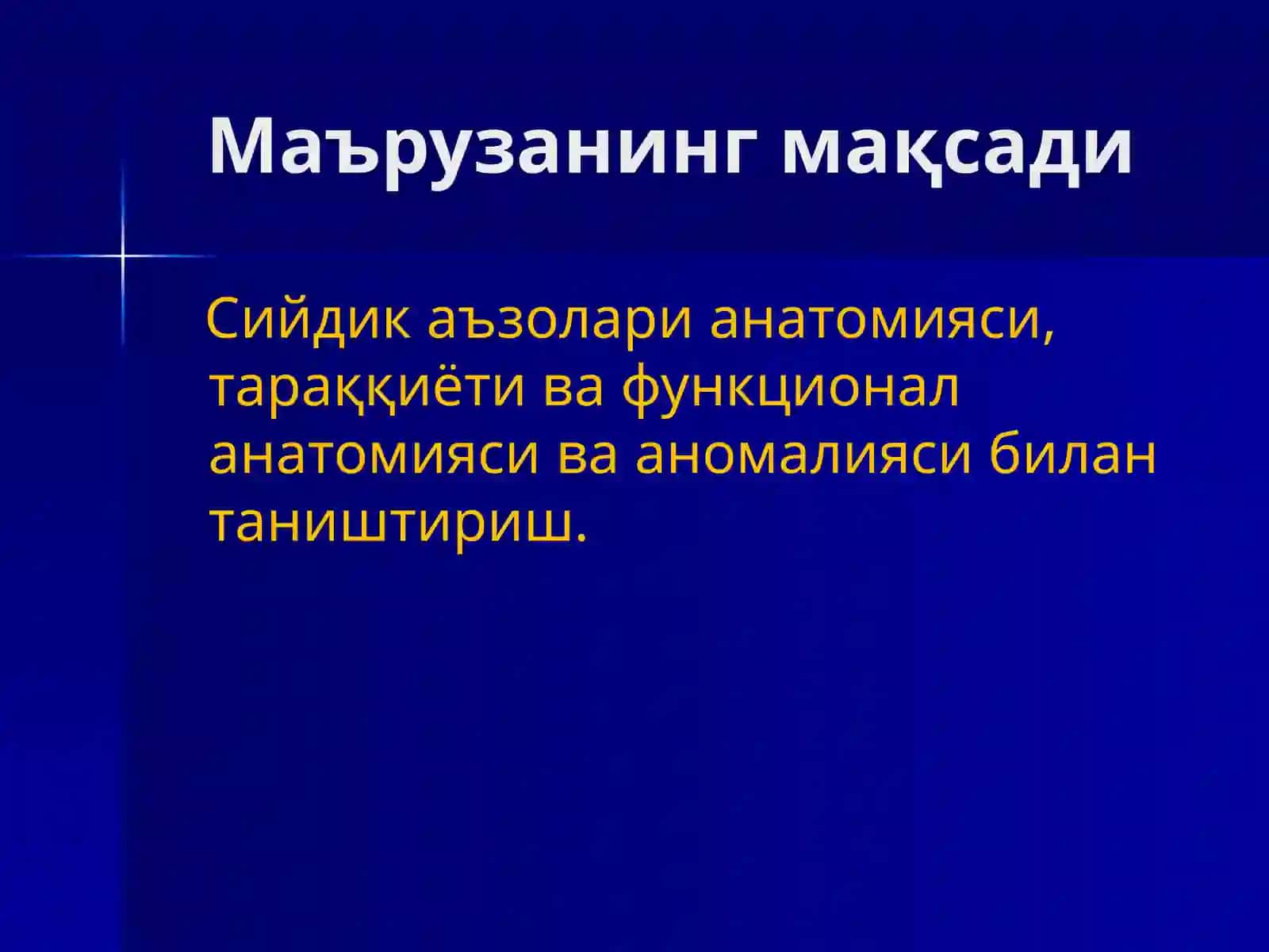 Сийдик чиқарув аъзоларининг анатомияси 3