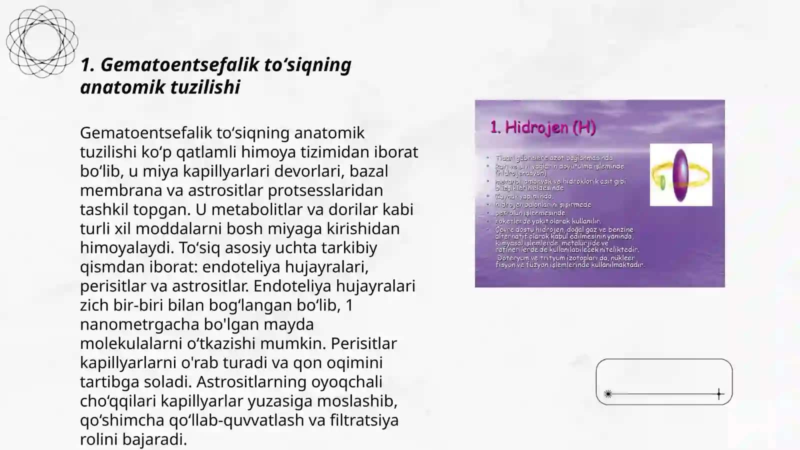 Gematoentsefalik toʻsiq gistofiziologiyasi 3