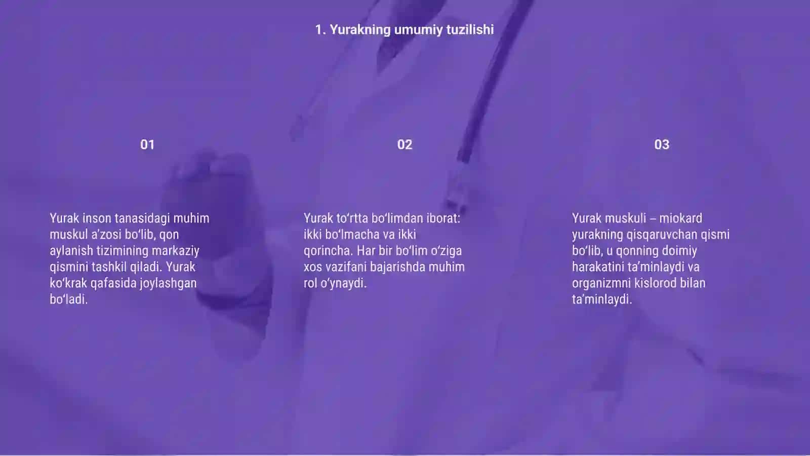 Yurakning anatomiyasi va fiziologiyasi 3