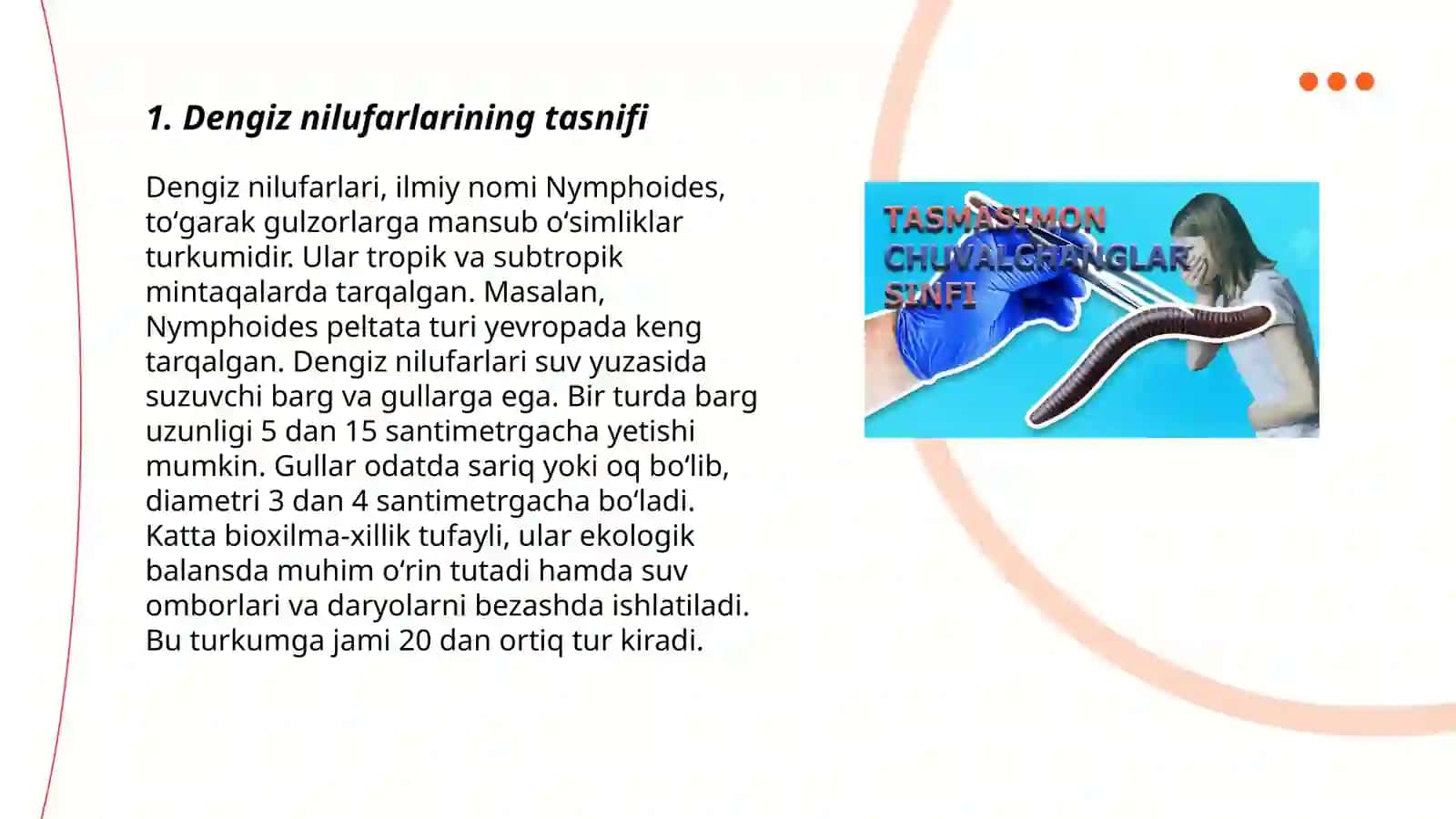 Dengiz nilufarlari 3