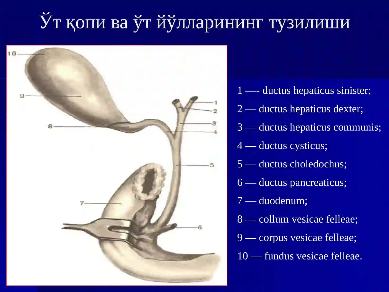 ЎТКИР ХОЛЕЦИСТИТ 3