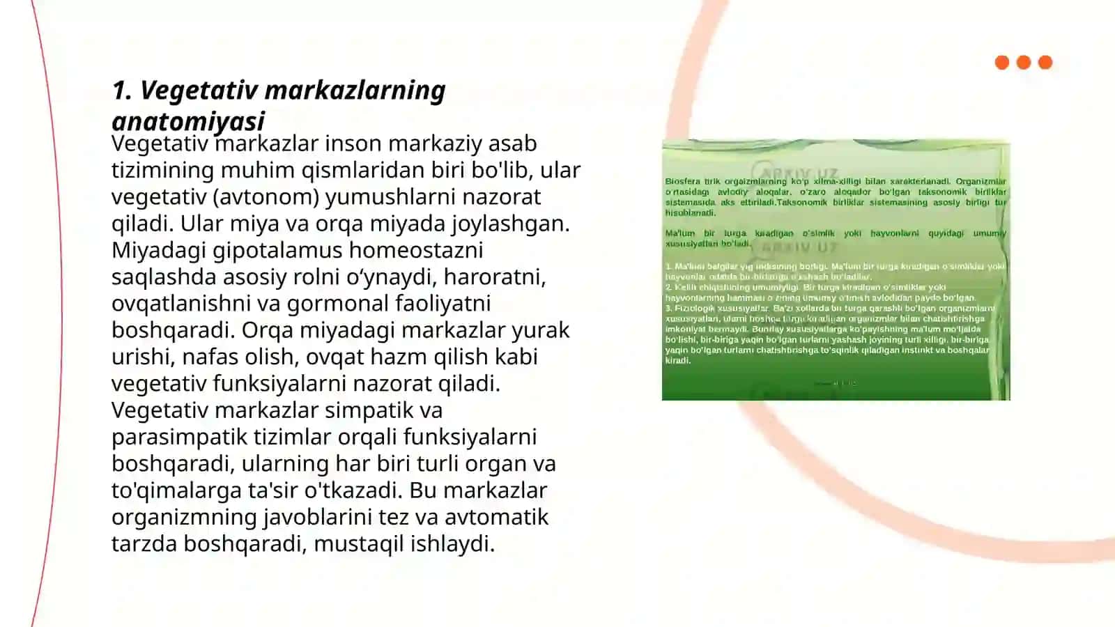 Vegetativ oliy markazlar va ularning funksional ahamiyati 3