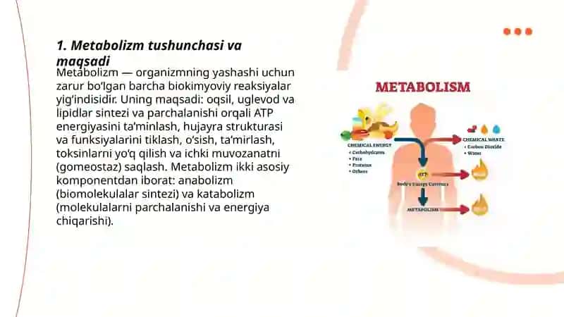 Metabolizm tushunchasi va uning umumiy tarkibi (anabolizm va katabolizm) 3