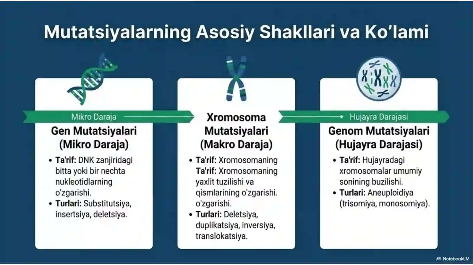 Mutatsiyalar: sabablari, shakllari, ahamiyati va biologik oqibatlari 3
