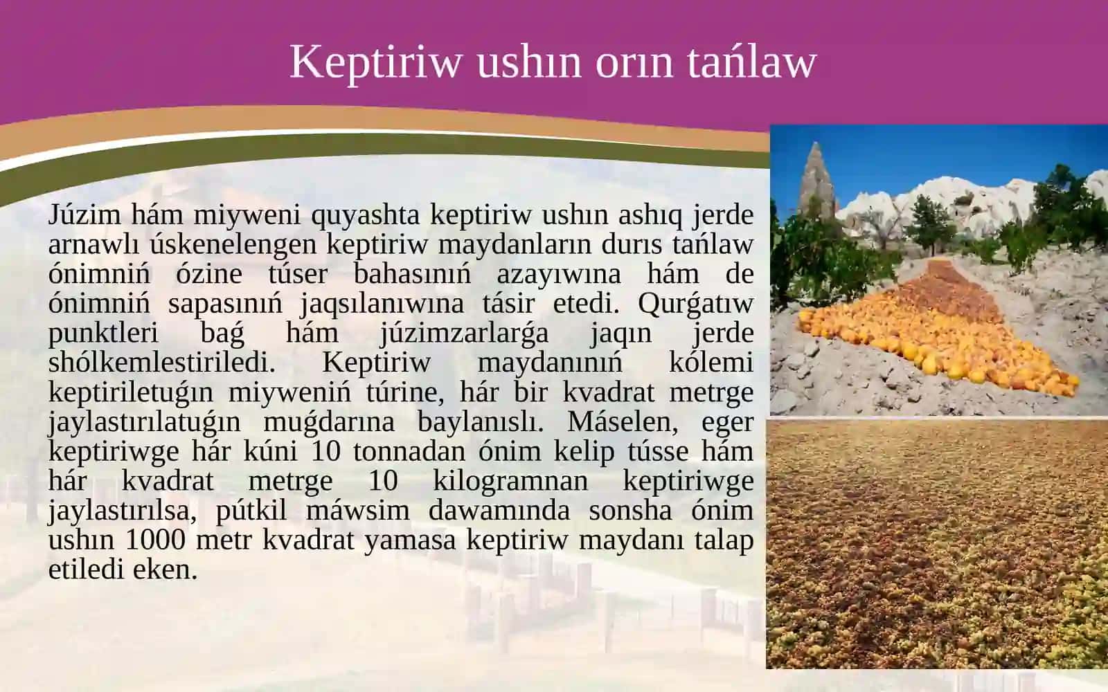 Miyweler hám juzimlerdiń keptiriw uskeneleri dúzilisi, is organları 3