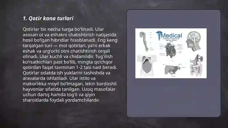 Qotir kana 3