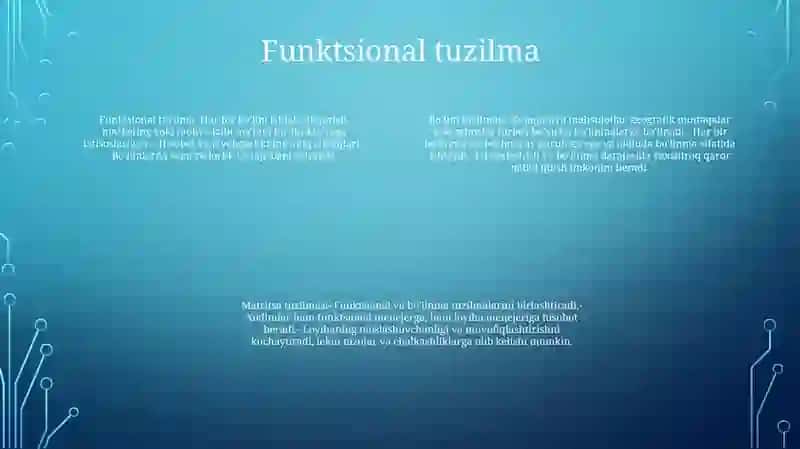 Korxona Va Tashkilotlarda Boshqaruv Strukturasi 3