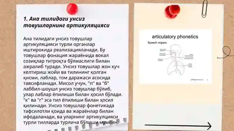 Ана тілі кансанатизымының артикулатцияалық жақтан жасалуы 3
