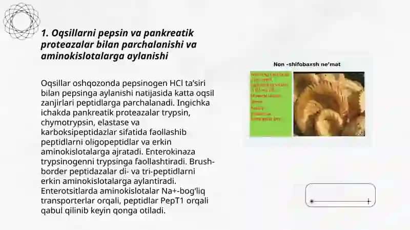 Oziq moddalarning qqonga soʻrilish mexanizimlari 3