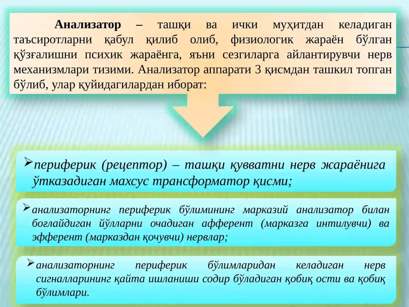 Сезги 3