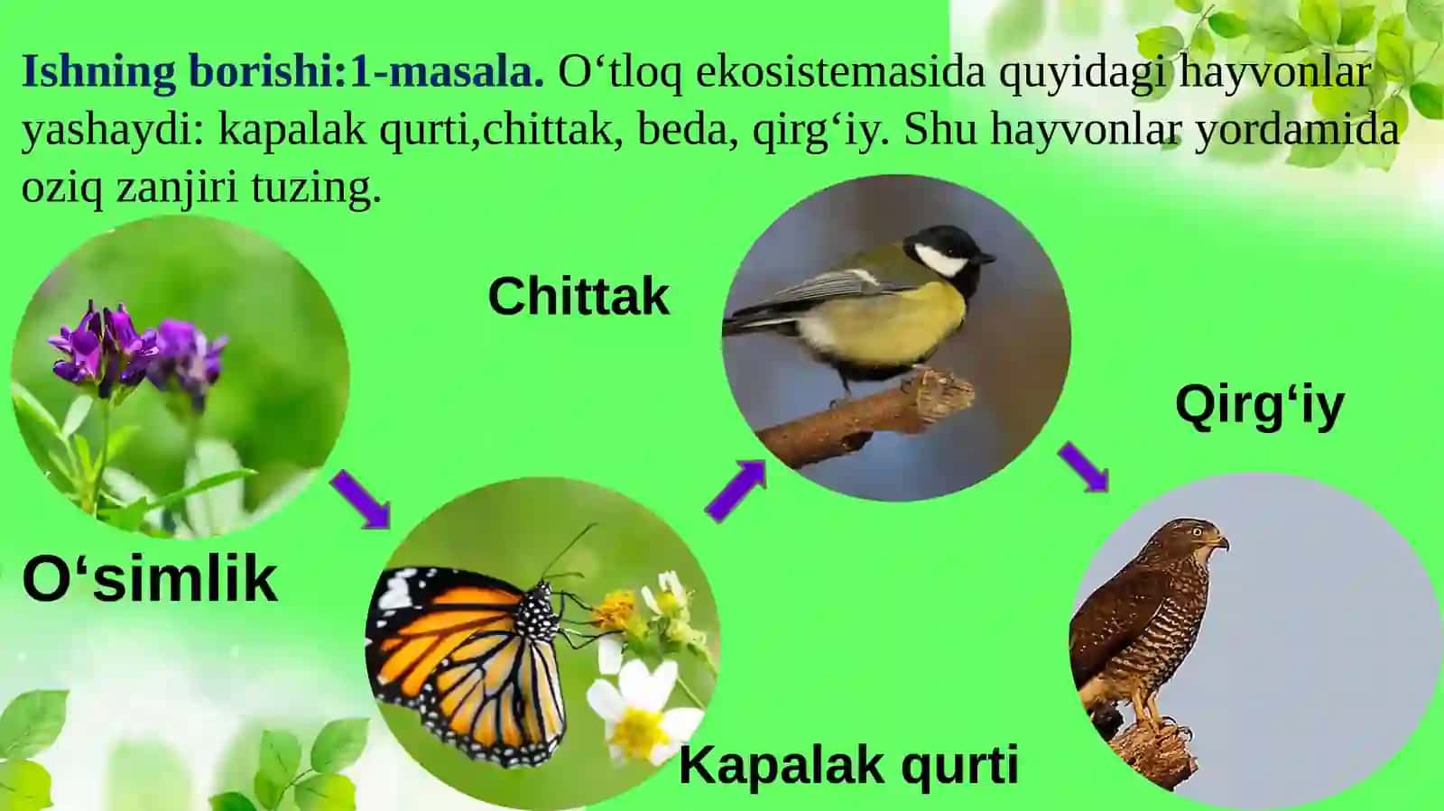 11-sinf Biologiya 2-Laboratoriya. Oziq zanjiri va ekologik piramidaga oid masalalar 3