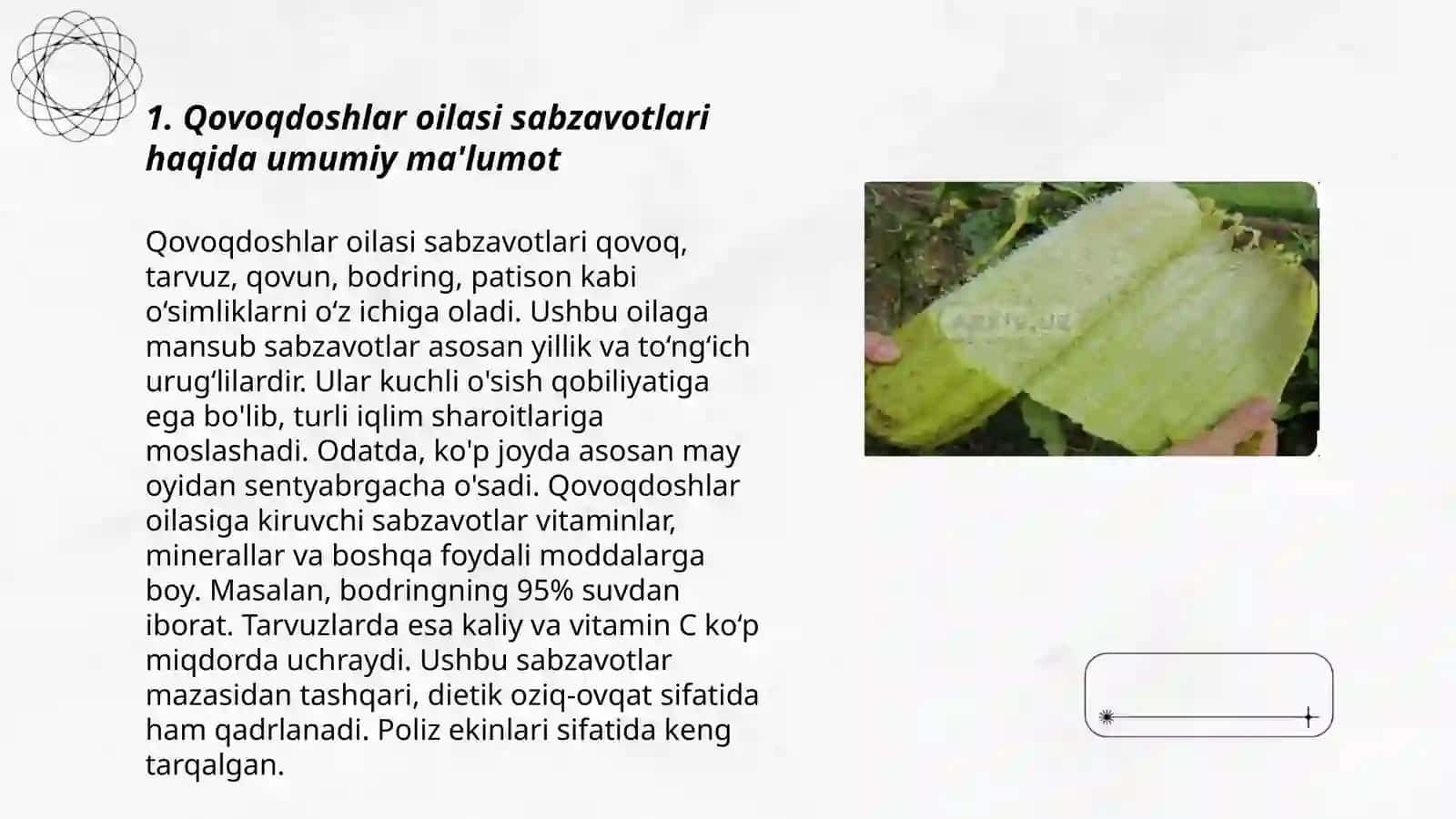 Qovoqdoshlar oilasiga mansub sabzavotlarning oziqaboplik va shifo profilaktik bahosi 3