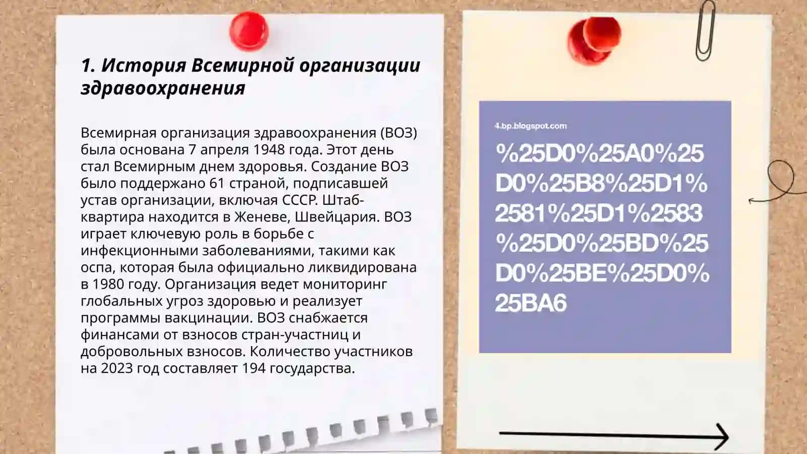 Всемирная организация здравоохранения 3