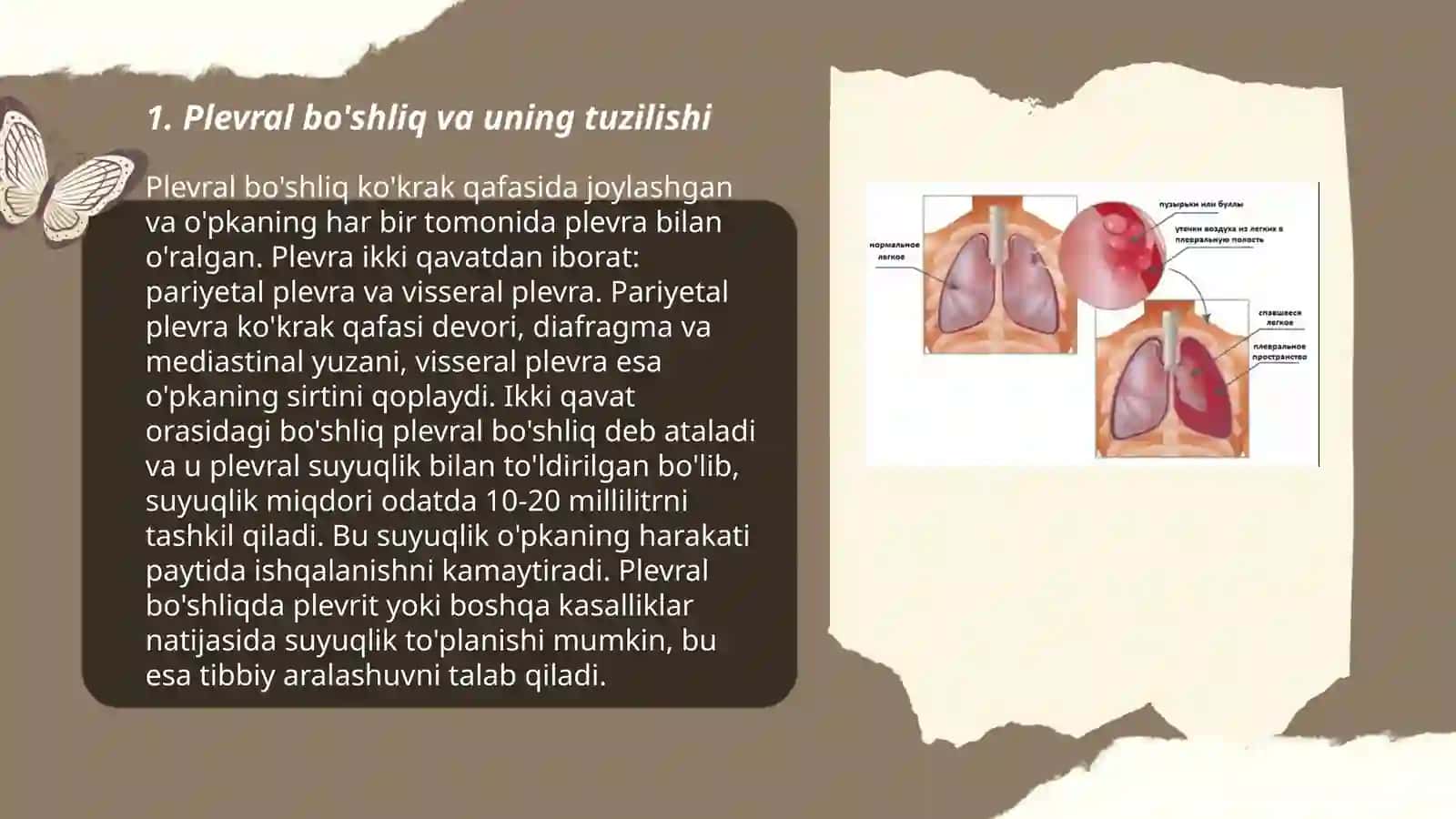 Nurboyeva Nodirabegim 3