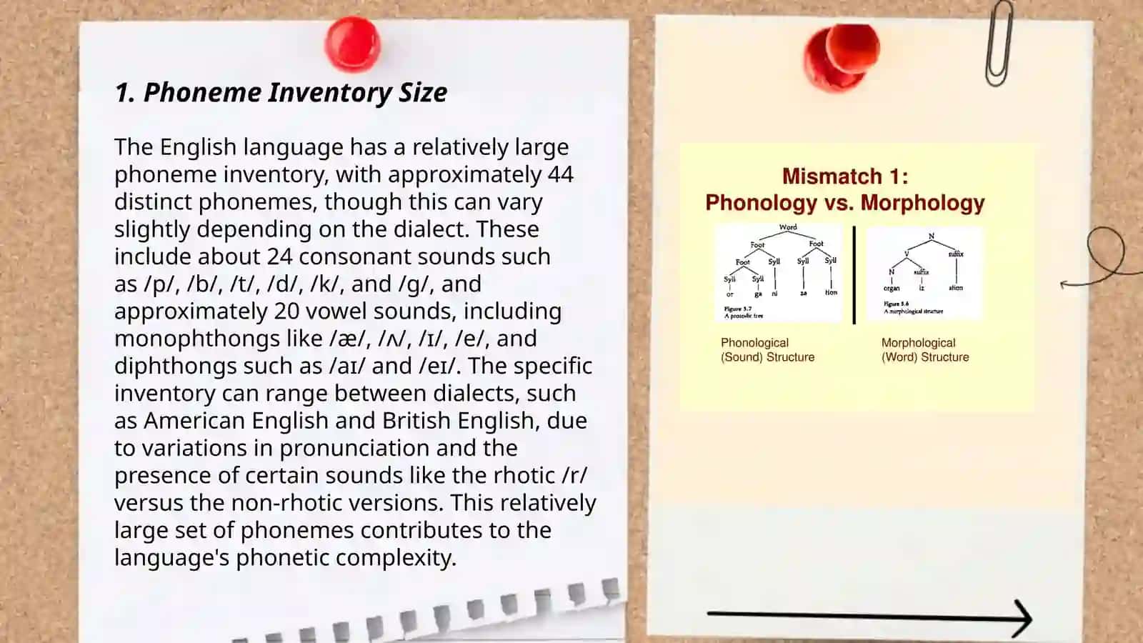 Phonological typology 3