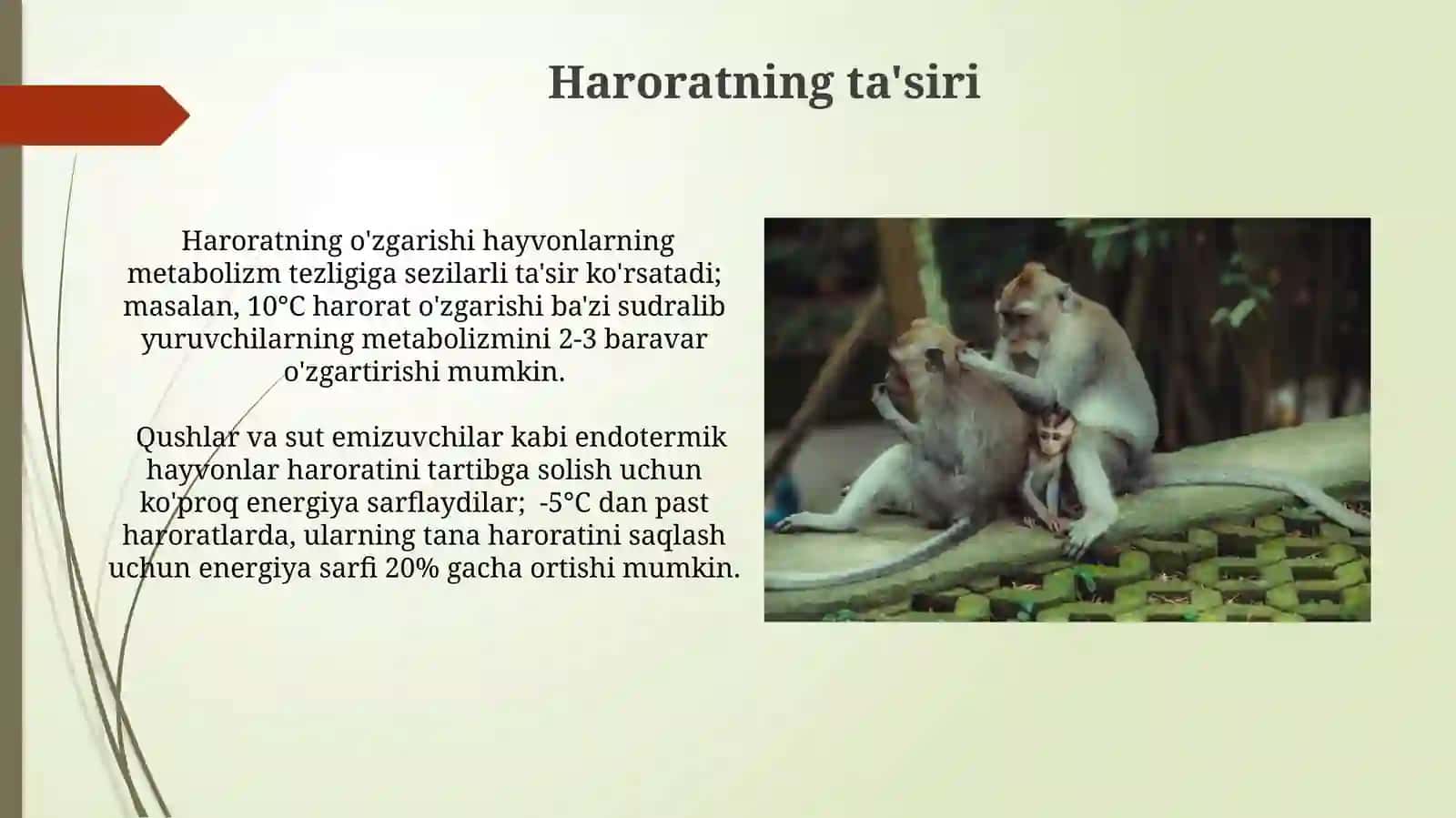 Hayvonlar ekologiyasi Abiotik va biotik omillarning hayvonlar hayotidagi ahamiyati 3