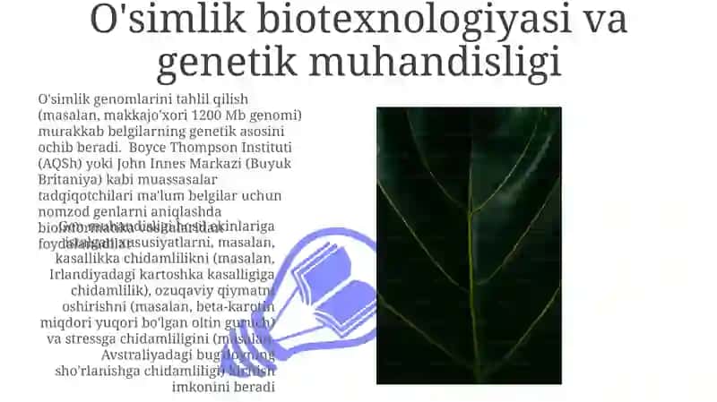 O'simlik Bioteqnologiyasi va Genetik Muhandisligi 3