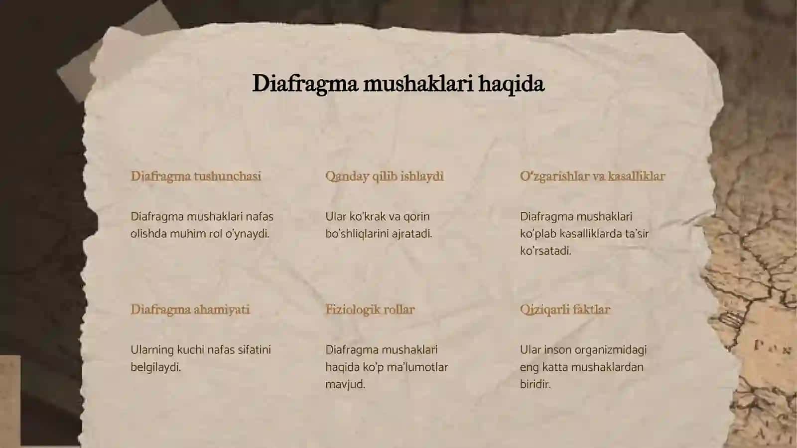Diafragma Mushaklari Fiziologiyasi 3