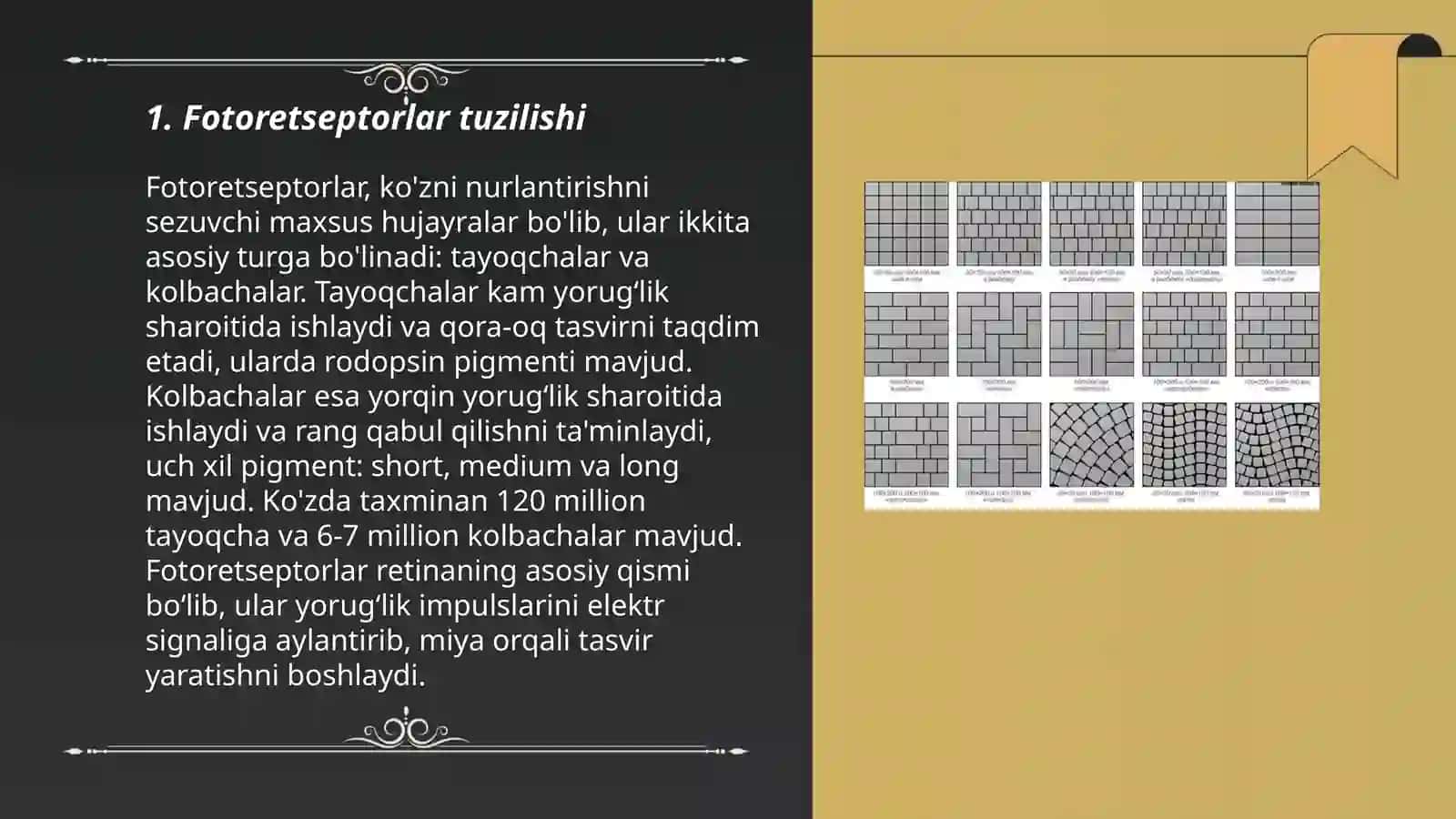 Fotoretsepsiyaning morfologik asoslari 3
