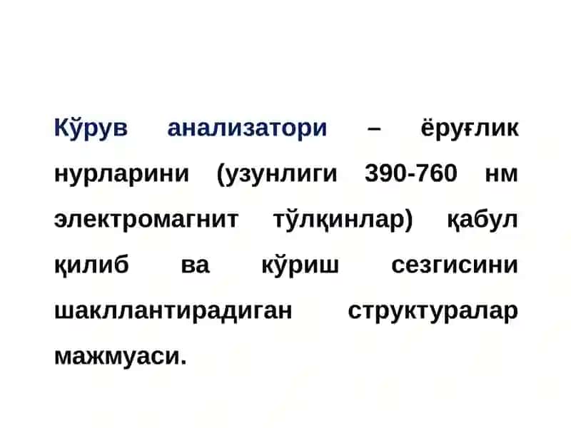 Кўрув анализатори 3