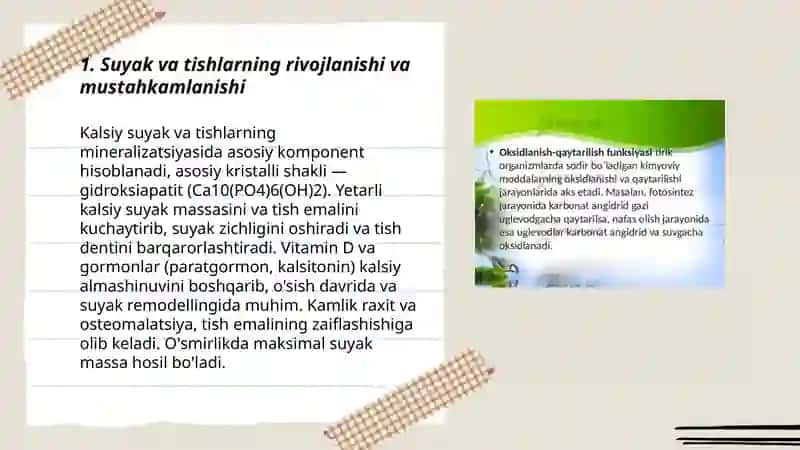 Tirik organizmda kalsiyning ahamiyati 3