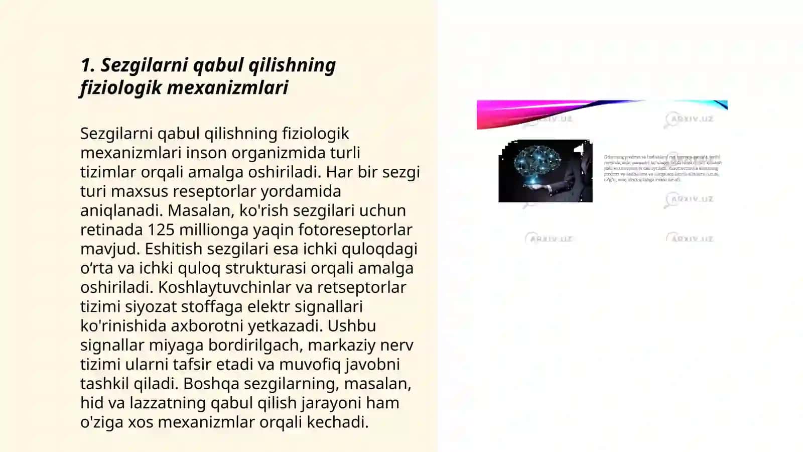 Sezgilarning nerv fiziologik asoslari 3