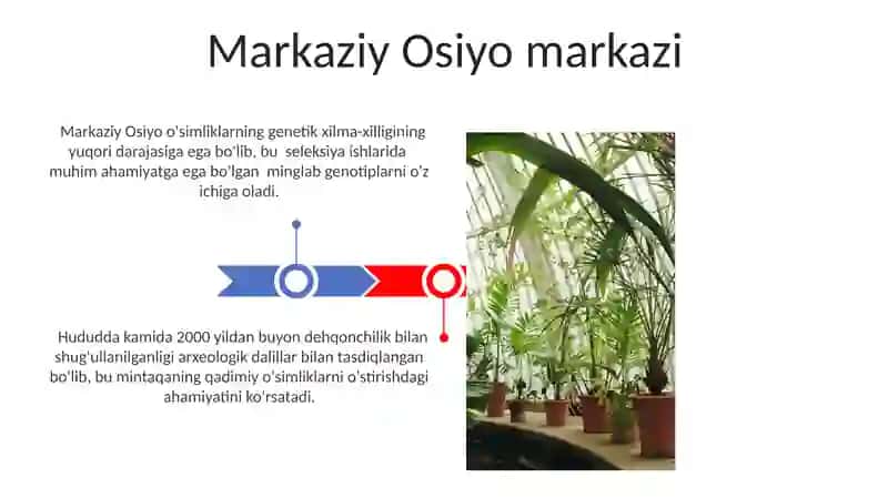 Madaniy o'simliklarning kelib chiqish markazlari 3
