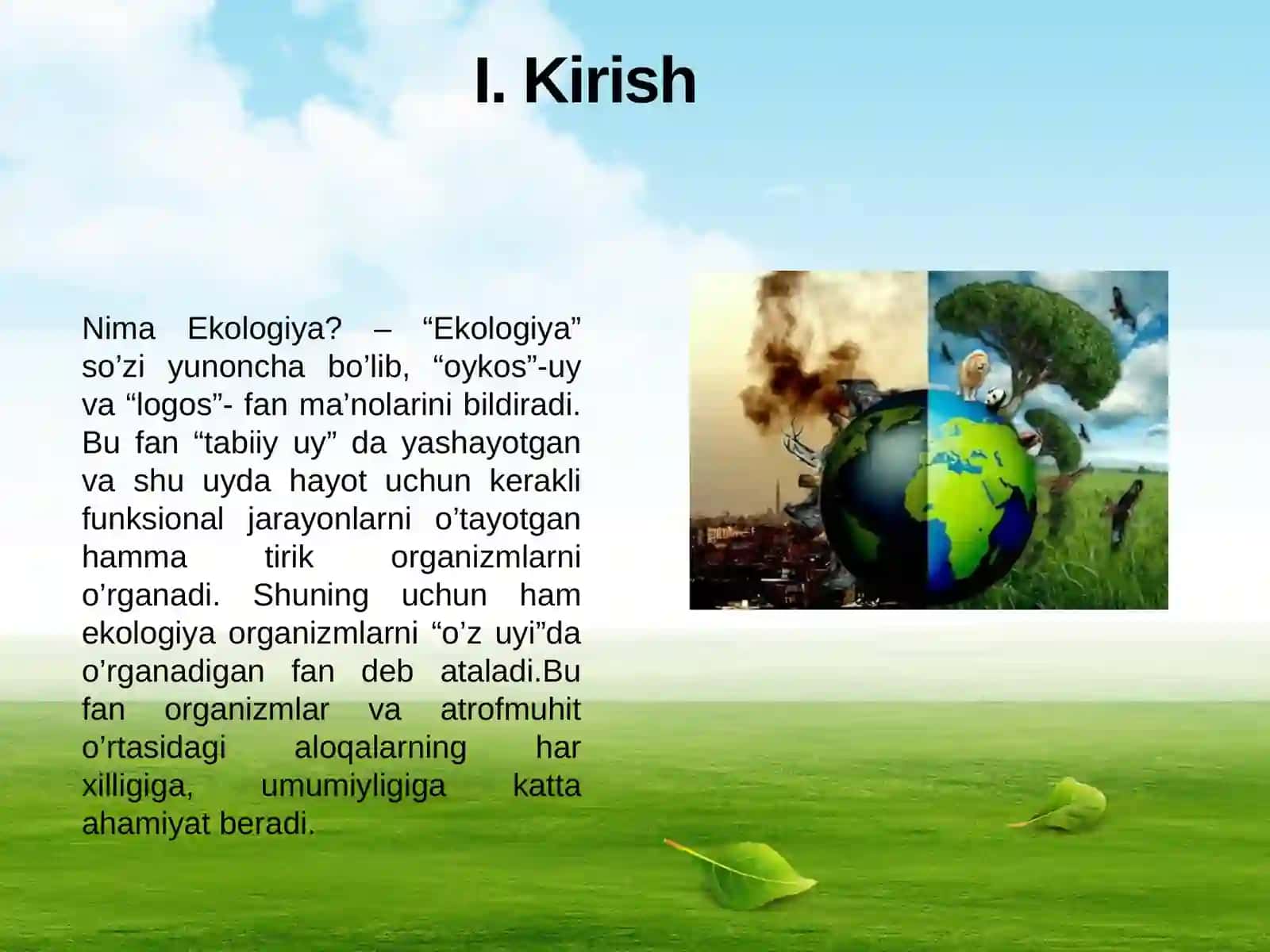 Ekologiya fani rivojlantirish bosqichlari, vazifalari va tadqiqot usullari.pptx 3