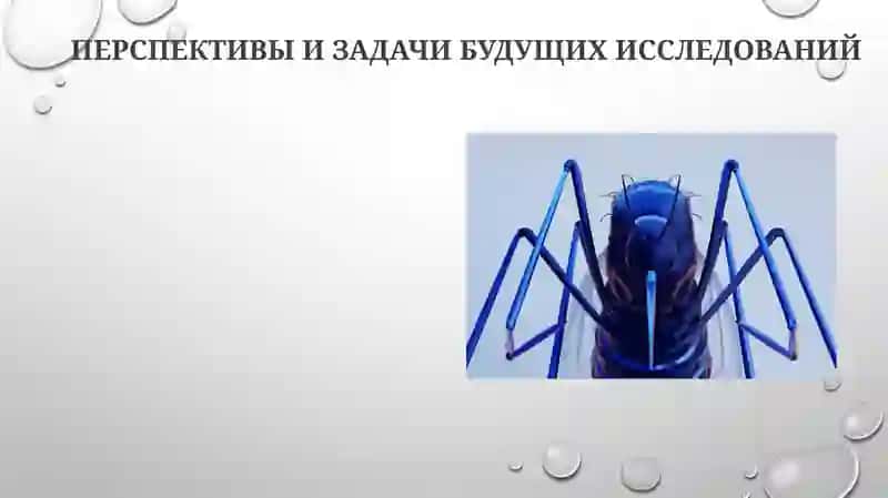 Синантропные насекомые и их эпидемиологическое значение 3